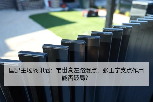 国足主场战印尼：韦世豪左路爆点，张玉宁支点作用能否破局？